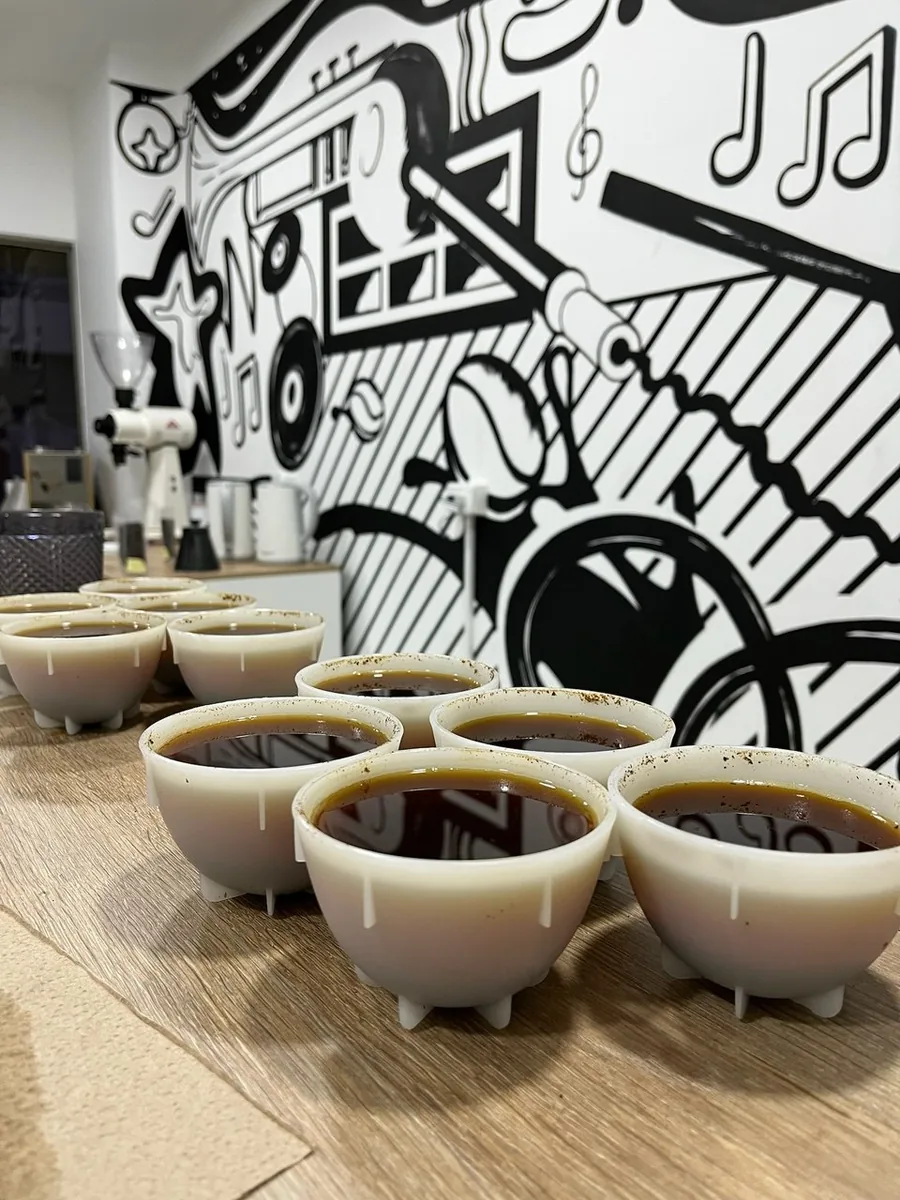 Cupping table — a row of cups set for evaluation